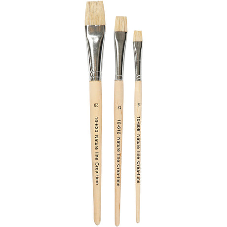Firma Creativ http: www.cchobby.nl nature-line-brushes-size-8-12-20-l-18-5-20-5-cm-b-10-20-mm-flat-3-piece-1-box
