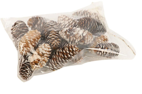 Hbx naturalny żywy świerk szyszkowy 150gr l-6 biały
