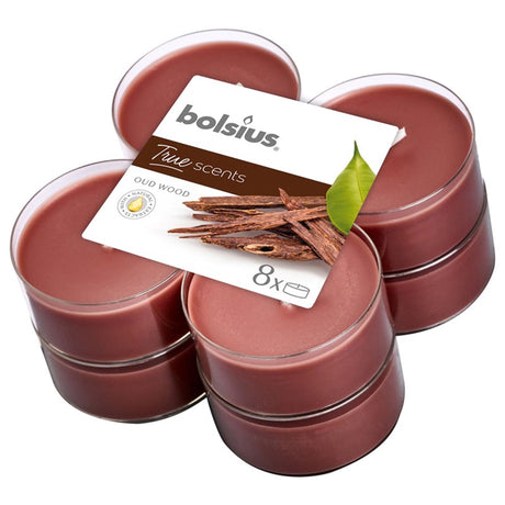 Bolsius | 6 sztuk