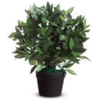 Sztuczna roślina mierzy le laurel 50 cm