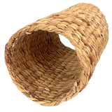 Tunel hiacyntu Rosewood