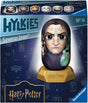 Hylki Ravensburgera