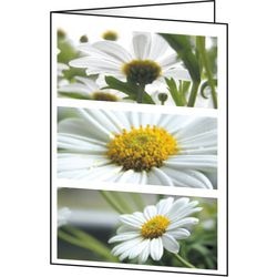 Kartki okolicznościowe Sigel DC171 kwiaty uniwersalne 220 g m² różne 25 sztuk