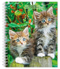 Browntrout kittens agenda 2027