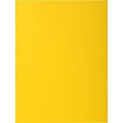 Teczka na dokumenty exacompta 217111e A4, karton