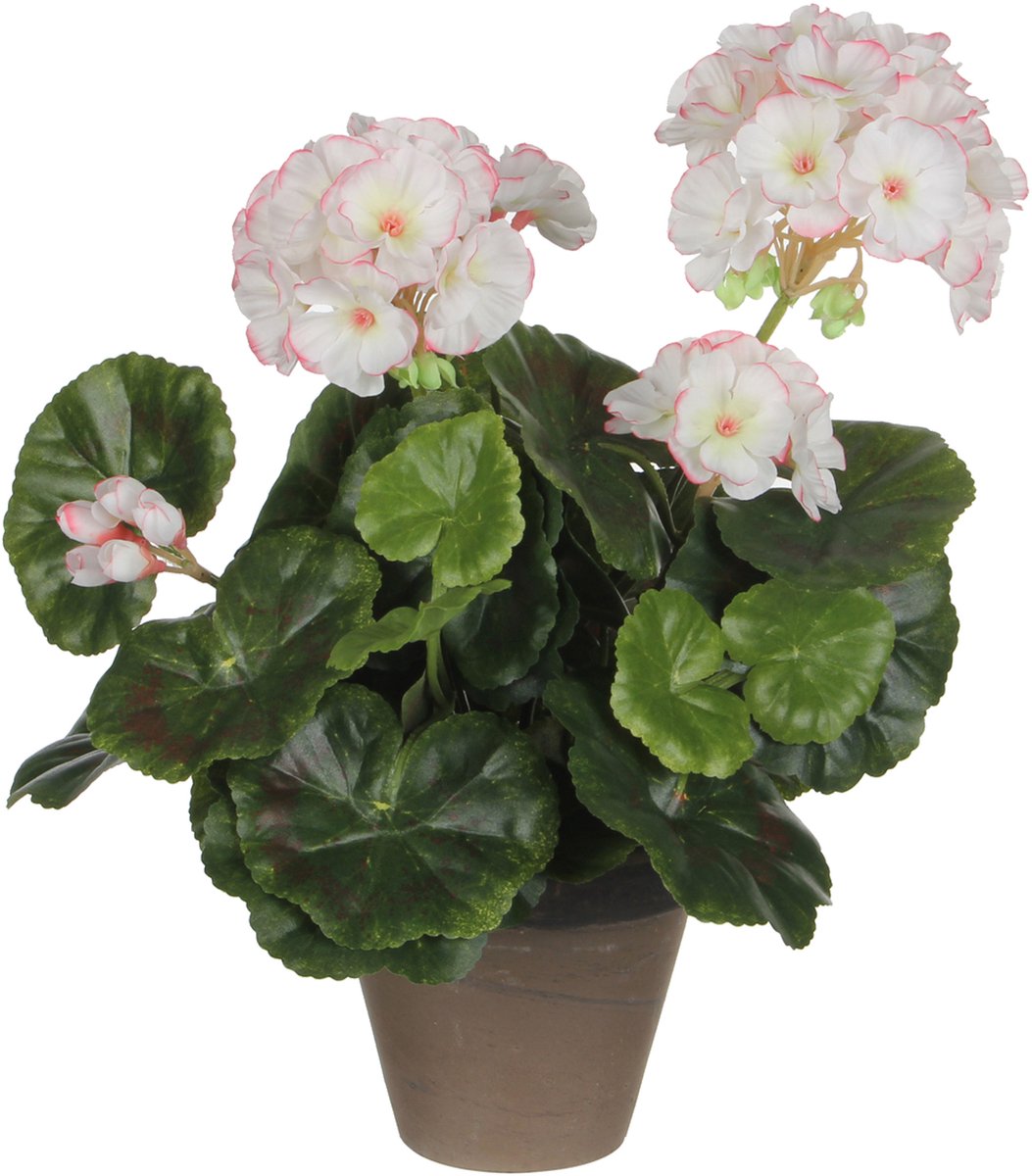 Ozdoby mikowe sztuczna roślina - pelargonia - biały róż - w doniczce - 34 cm - sztuczne rośliny - sztuczne kwiaty