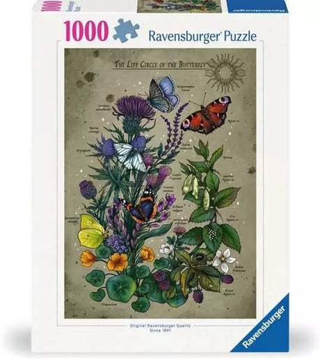 Motyl Ravensburgera