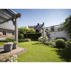 Sztuczna trawa Casa Pura Cambridge Green