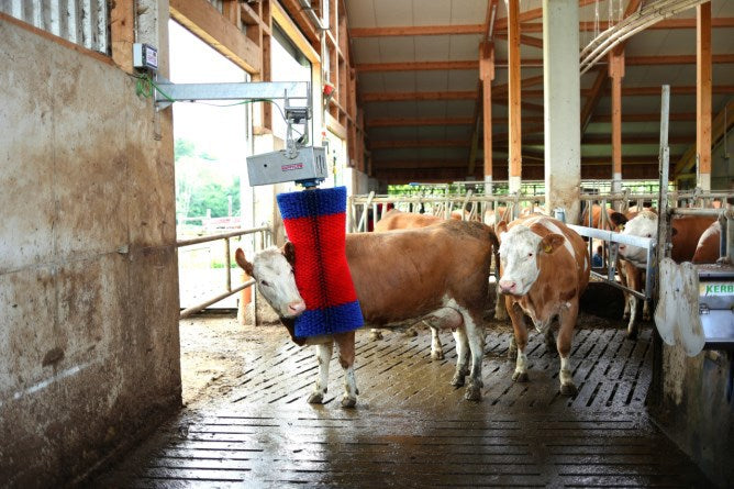 Produkty Happycow szczotka do krów maxiswing