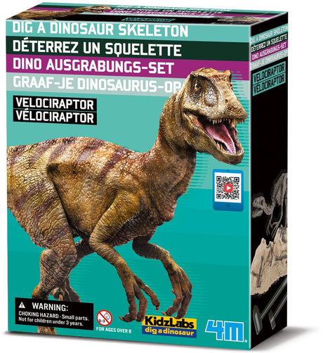 Wykop swojego dinozaura na głębokość 4 m - welociraptor - zestaw do wykopalisk i model szkieletu - kidzlabs - 8+