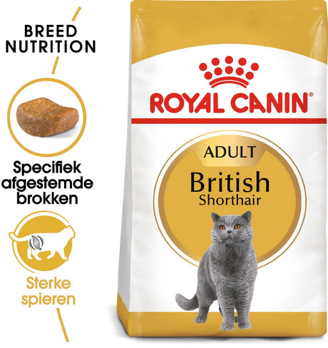 Royal Canin Brytyjski krótkowłosy Adult - pełnoporcjowa karma dla kotów - 2 kg
