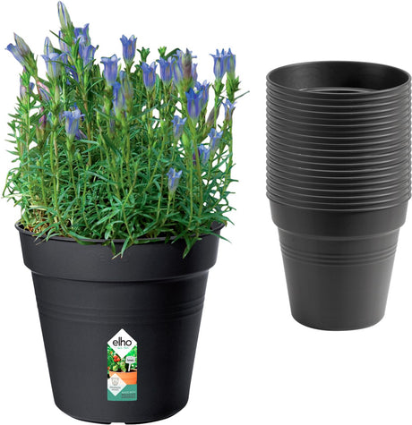 Elho green basics grow pot 17cm | set van 20 kweekpotten - living black