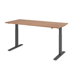 Młotek biurkowy Bach siedząco-stojący vxmka19 n g wielokolorowy 1800 x 800 mm
