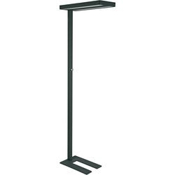 Lampa podłogowa maul 8258490 mauljaval czarna