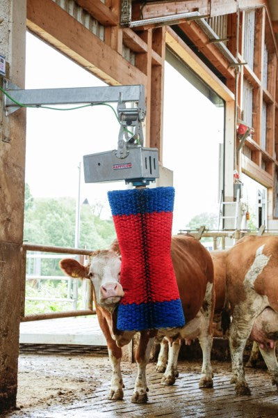Produkty Happycow szczotka do krów maxiswing