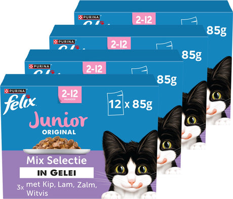 Felix oryginalna mieszanka juniorów w galaretce - karma dla kotów mokra karma - kurczak, jagnięcina, łosoś i sieja - 48 x 85 g