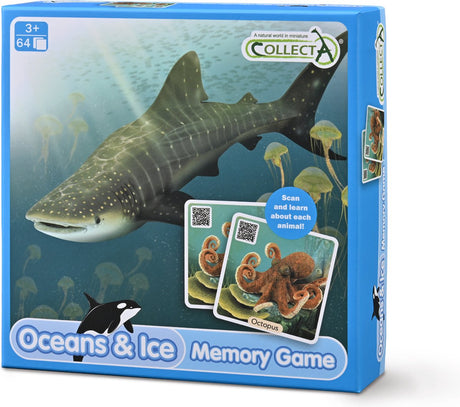 Gra pamięciowa Collecta - oceany - edukacyjna - pamięć