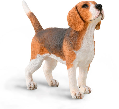 Figurka Collecta - beagle - (m) - psy - ręcznie malowana - miniatura