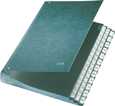 Leitz - bureaumap - karton - 31 scheidingsbladen