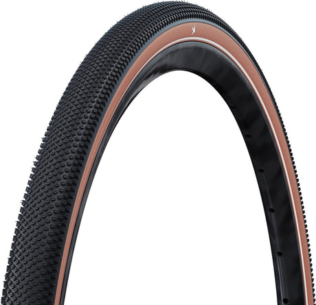 Schwalbe'a