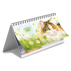 Comello franciens katten deskkalender 2027