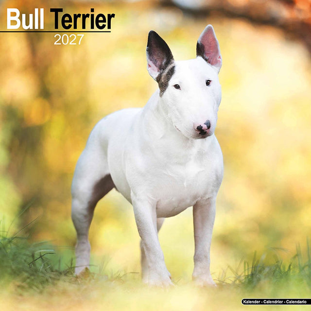 Avonside bull terrier kalender 2027