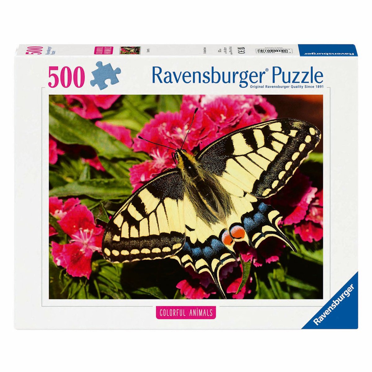 Motyl Ravensburgera