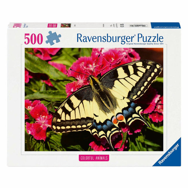 Motyl Ravensburgera
