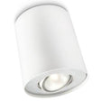 Philips led philips pillar opbouwspot - 1-lichts