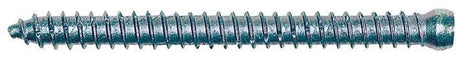 Śruba do ramy Fischer ffsz – 7,5 x 102 mm – głowica cylindra tx30 – mocowanie bez wtyczek – 100 szt.