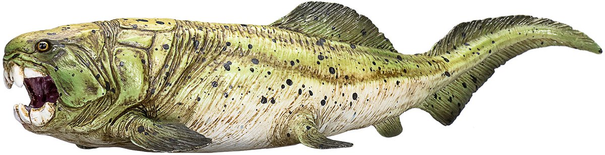Prehistoria Mojo Dunkleosteusa - 387374
