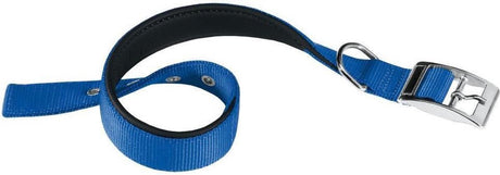 Obroża Ferplast Daytona 35 x 1,5 cm stal nylon niebieska xs