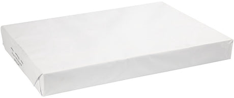 Papier firmowy Creativ - papier do rysowania - papier hobbystyczny - biały - majsterkowanie, rękodzieło, rysunek - a2 - 42x60cm - 160 gramów - 250 arkuszy