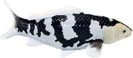 Karp koi Sealife Mojo - shiro utsuri koi - 381102