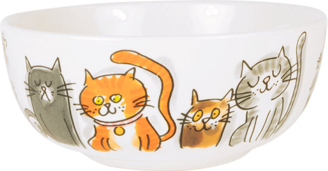 Blond amsterdam , dier: kom 15 cm cats mix