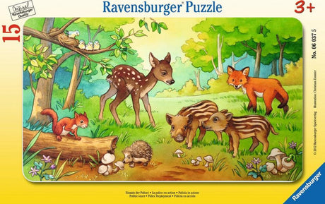 Młode zwierzęta Ravensburgera w lesie