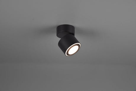 Lampa sufitowa Trio Leuchten Taurus - czarna