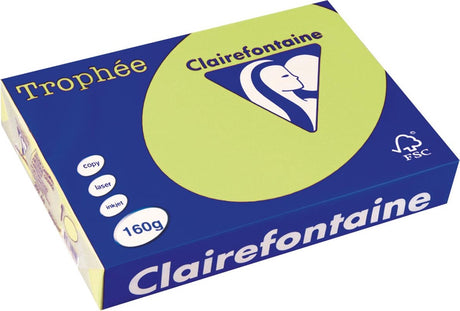 Clairefontaine throée pastel, papier kolorowy, a4, 160 g, 250 ark., golf zielony