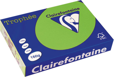 Trofeum Clairefontaine intensywne a4 w kolorze trawiastej zieleni 160 g 250 arkuszy