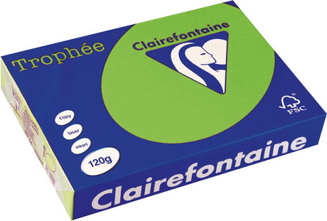 Clairefontaine throée intensywny, papier kolorowy, a4, 120 g, 250 ark., trawiasta zieleń