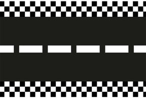 Partydeco racebaan - 5 m