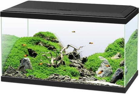 Ciano – emocje pro 60 l – zestaw akwariowy – filtr cf80 – led 50w