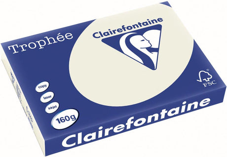 Clairefontaine - pastel trofee - a3 - perłowo-szary - 160 gramów - 250 arkuszy