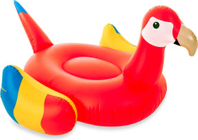 Basen Didak - figura dmuchana - mega papuga - 195x180x115 cm