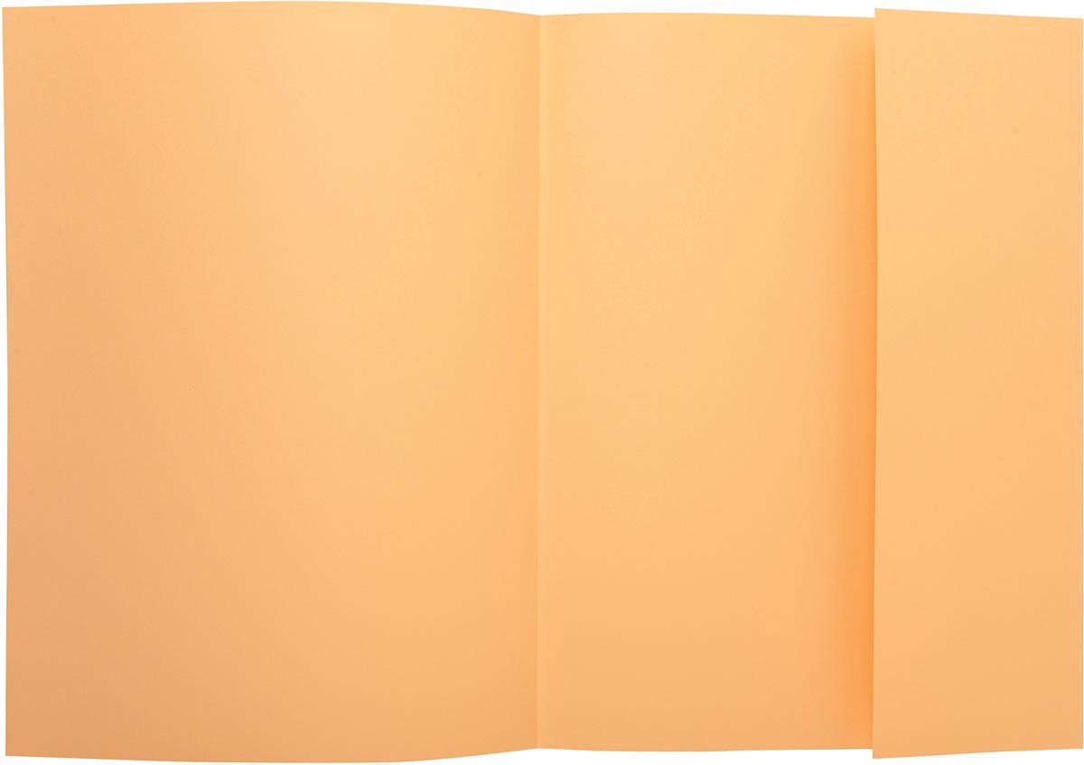 Exacompta super 210 - zestaw 50 teczek na dokumenty z 1 klapką - 24x32cm - klejnoty - 339002e