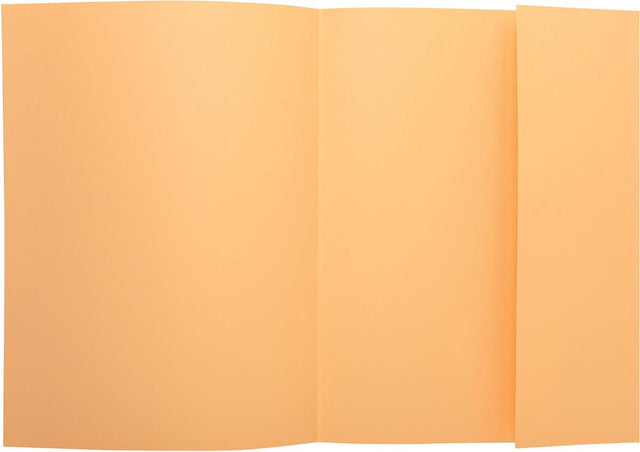 Exacompta super 210 - zestaw 50 teczek na dokumenty z 1 klapką - 24x32cm - klejnoty - 339002e