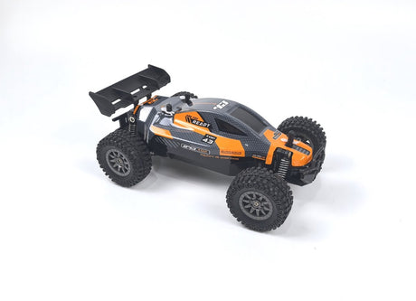 Buggy myśliwski dla nowicjuszy Df-models - gotowy do jazdy