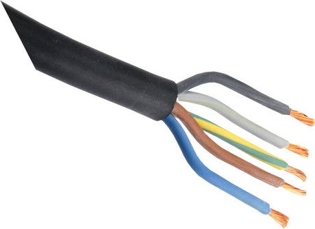 Kabel gumowy Enzo | gładka | 5x2,5 | czarny | 2m - 03.030.37