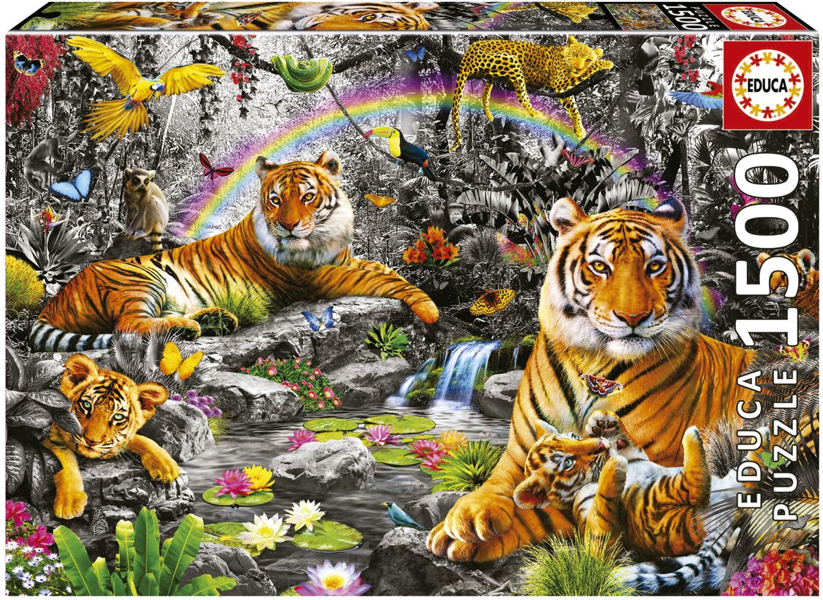 Educa - puzzle - 1500 elementów - tygrysy