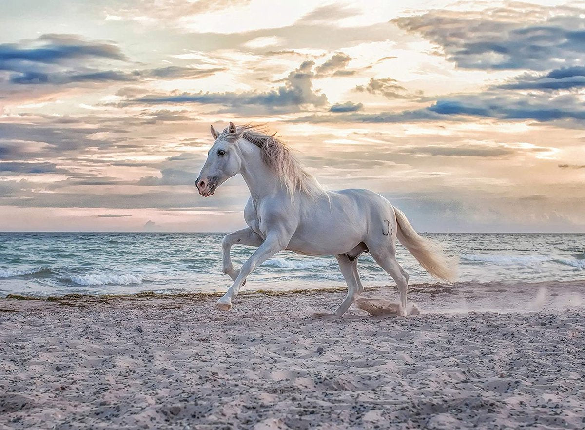 Puzzle Ravensburger plaża dla koni - 500 elementów puzzle zwierzęta.